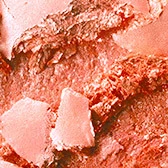 MAC Extra Dimension Blush Fairly Precious 3 MAC Extra Dimension Blush Fairly Precious - Billede 3